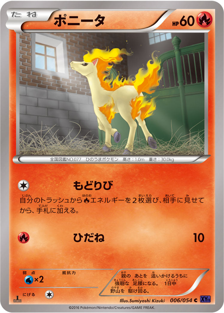 ポニータ [C_006/054_XY11-Bb]