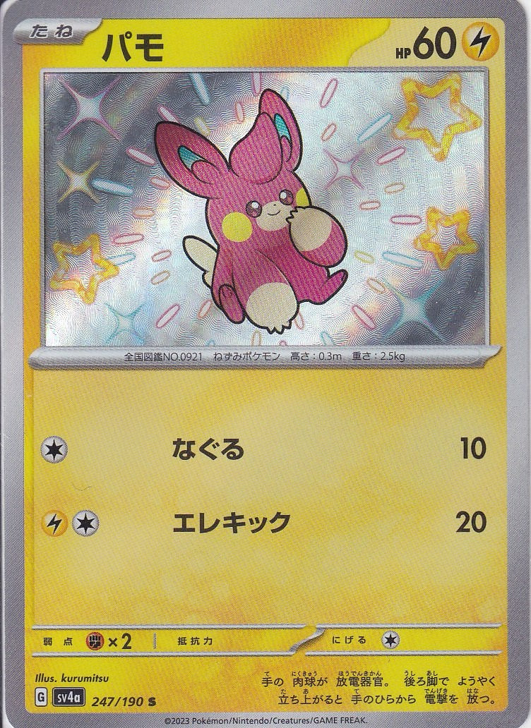 パモ [S_247/190_SV4a]