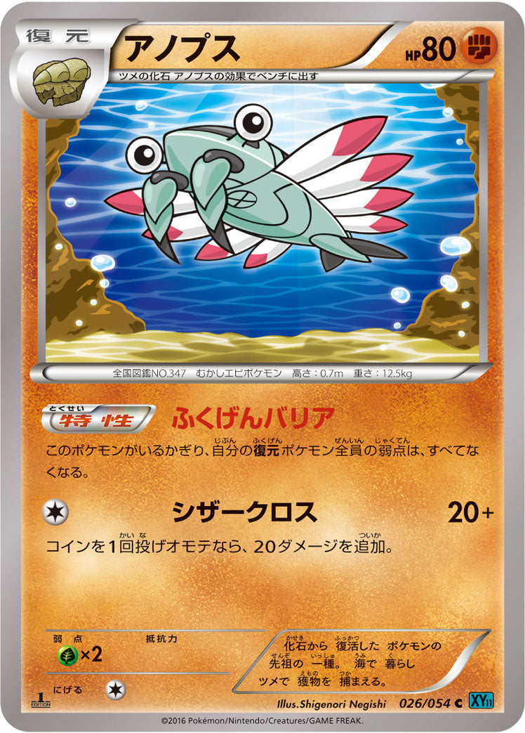 アノプス [C_026/054_XY11-Br]