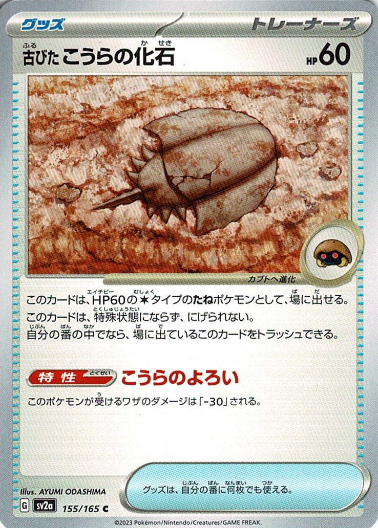 古びたこうらの化石 [C_155/165_SV2a]