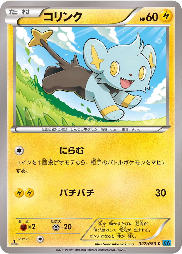 コリンク [C_027/080_XY2]