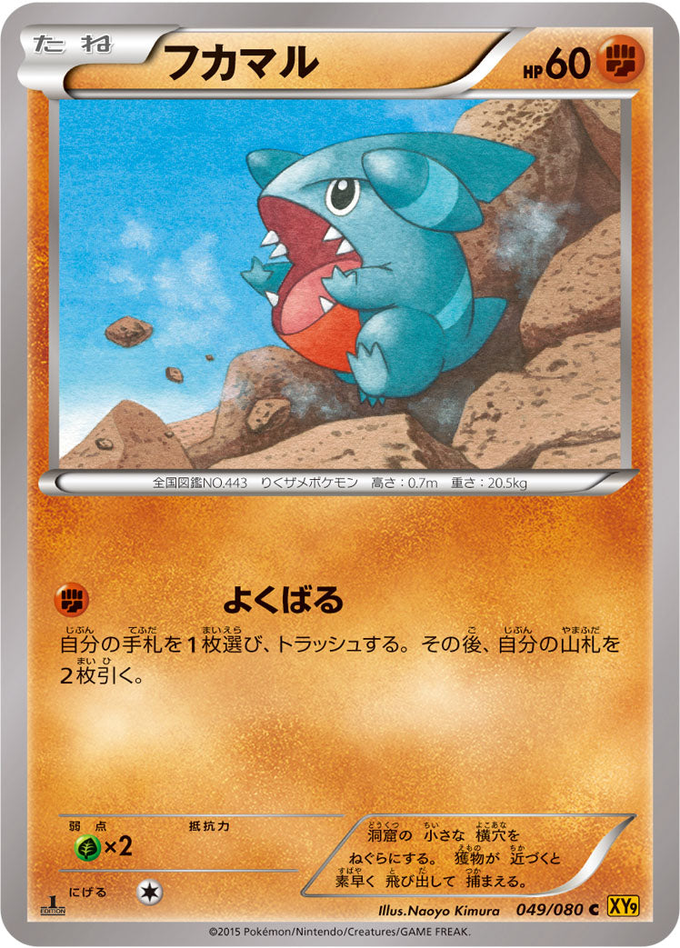 フカマル [C_049/080_XY9-B]