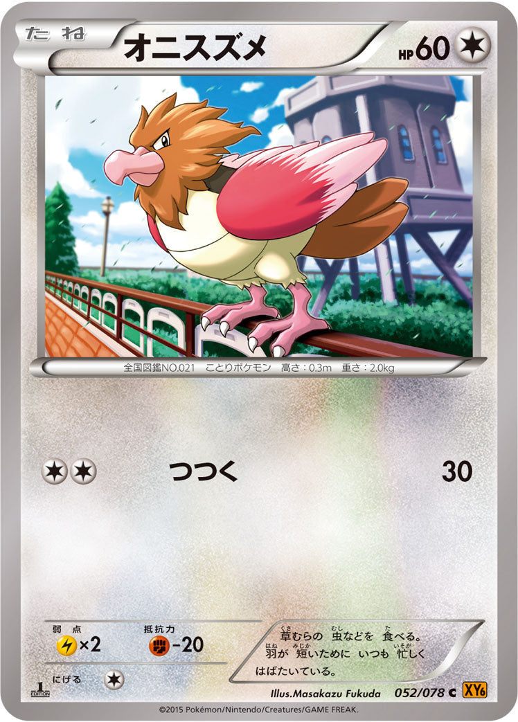 オニスズメ [C_052/078_XY6-B]