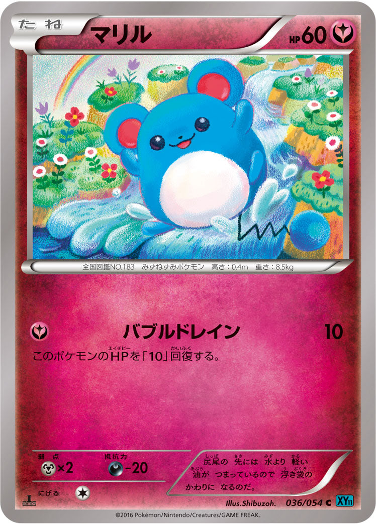マリル [C_036/054_XY11-Br]