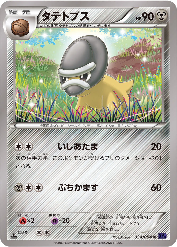 タテトプス [C_034/054_XY11-Bb]
