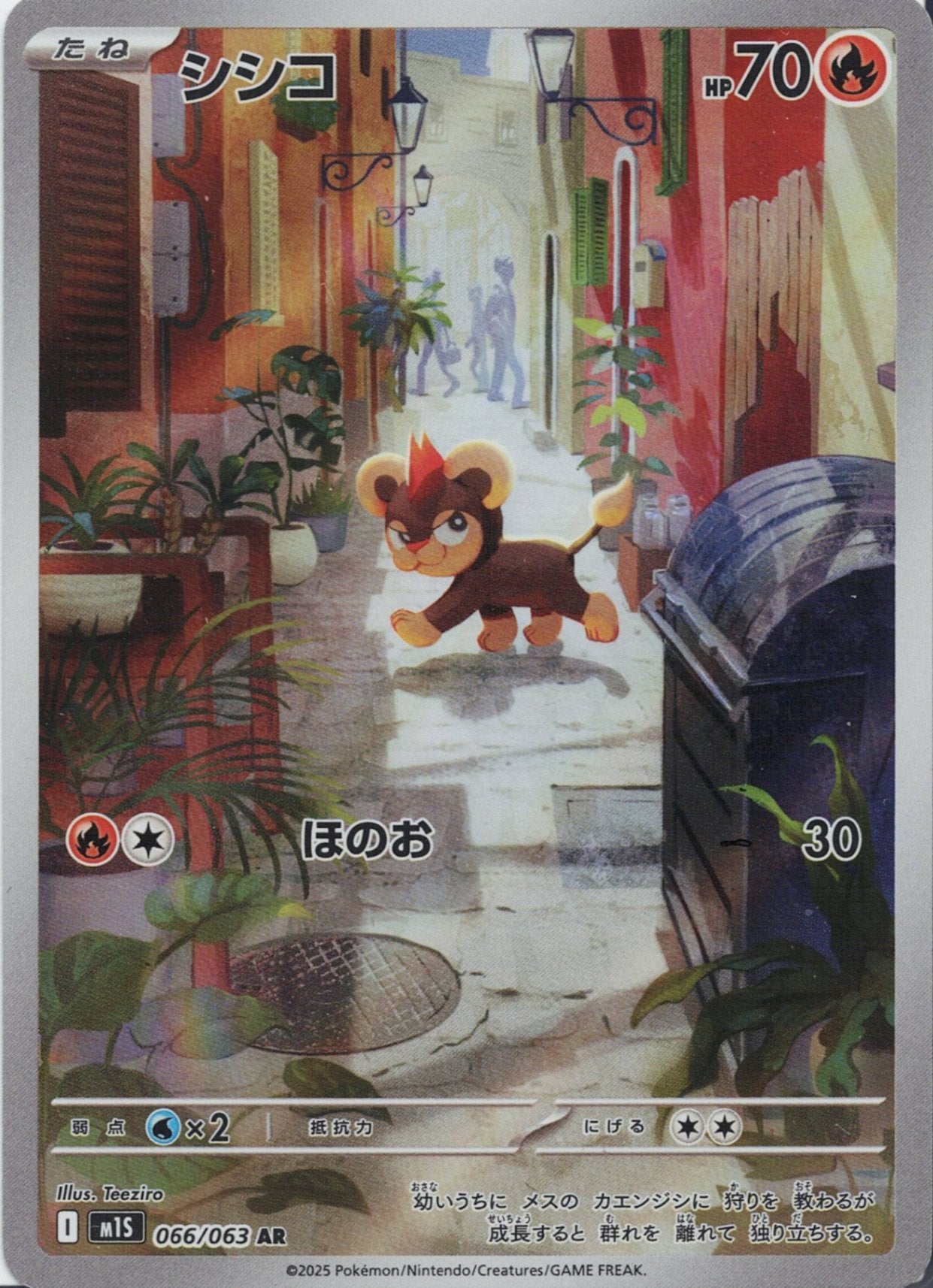 シシコ [AR_066/063_M1S]