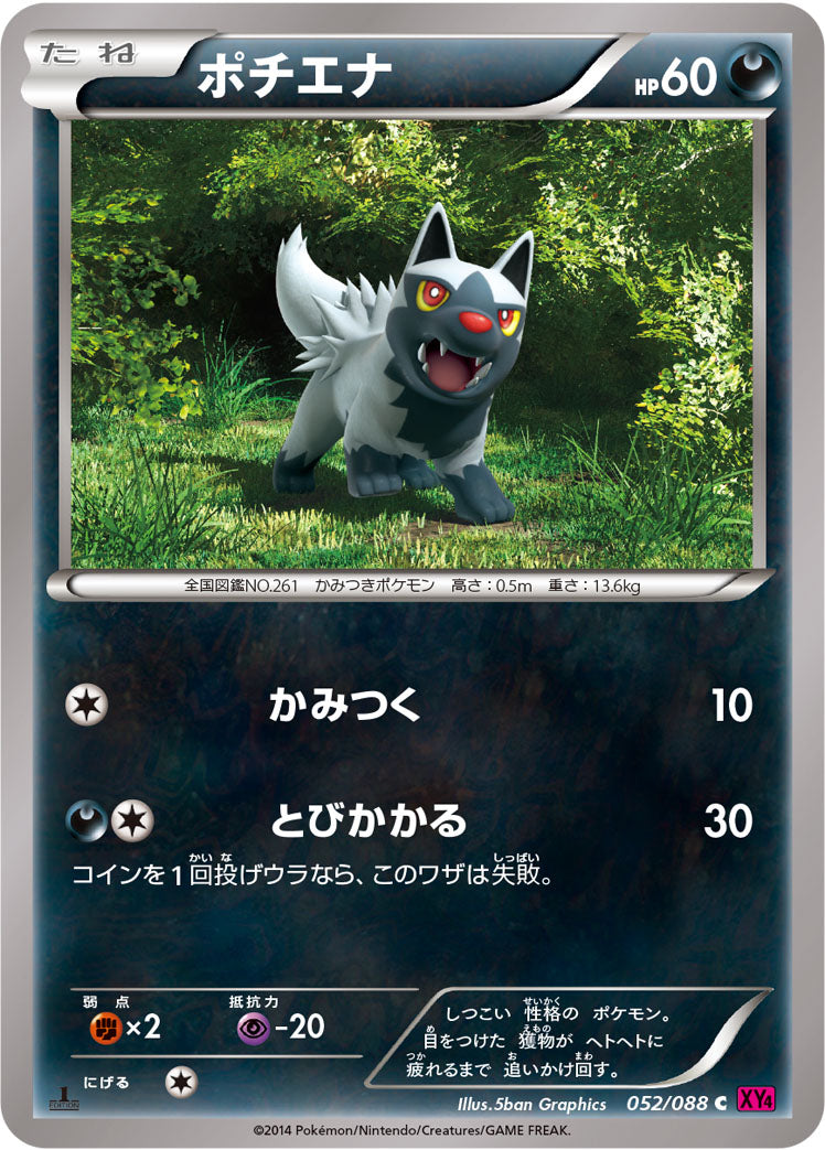 ポチエナ [C_052/088_XY4]