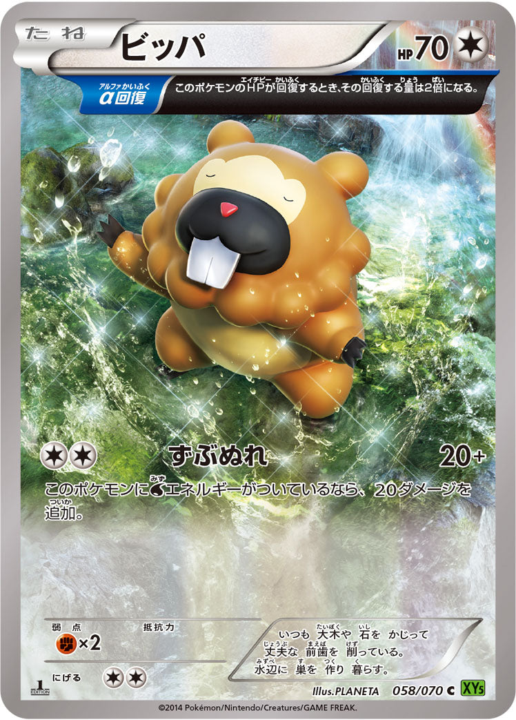 ビッパ [C_058/070_XY5-Bt]