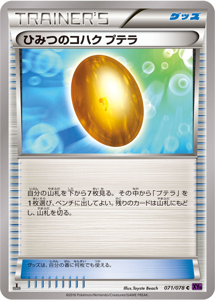 ひみつのコハク プテラ [C_071/078_XY10-B]