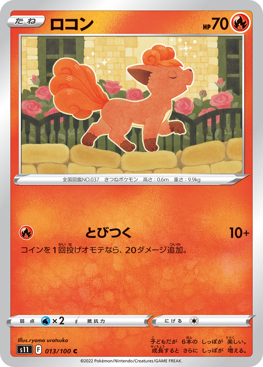ロコン [C_013/100_S11]