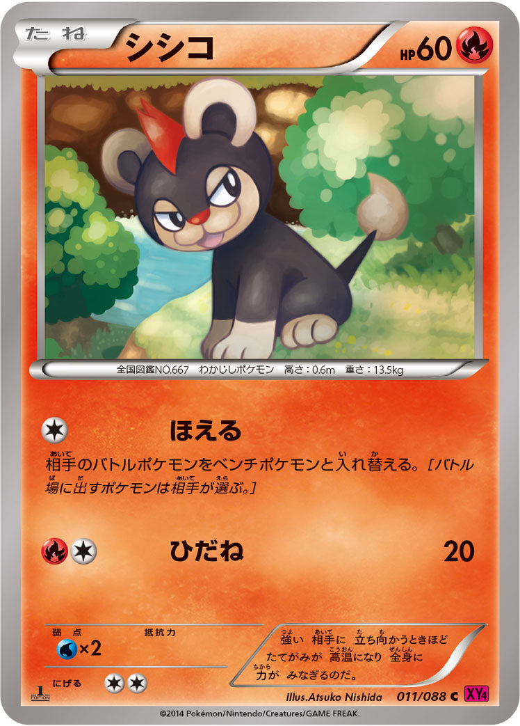 シシコ [C_011/088_XY4]