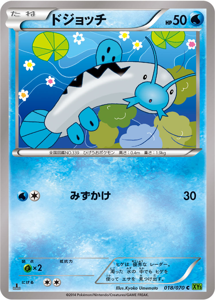 ドジョッチ [C_018/070_XY5-Bt]