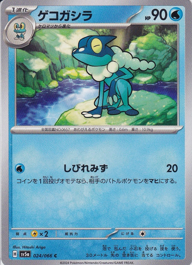 ゲコガシラ [C_024/066_SV5a]