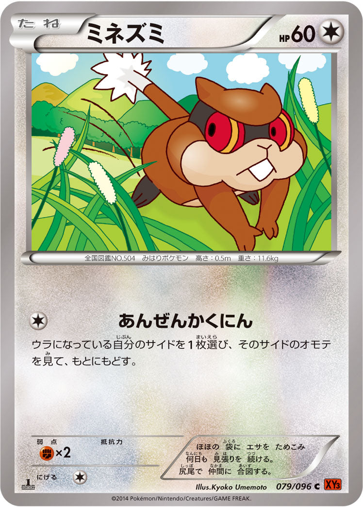 ミネズミ [C_079/096_XY3]