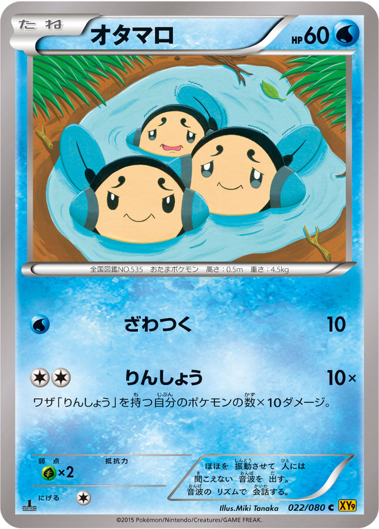 オタマロ [C_022/080_XY9-B]