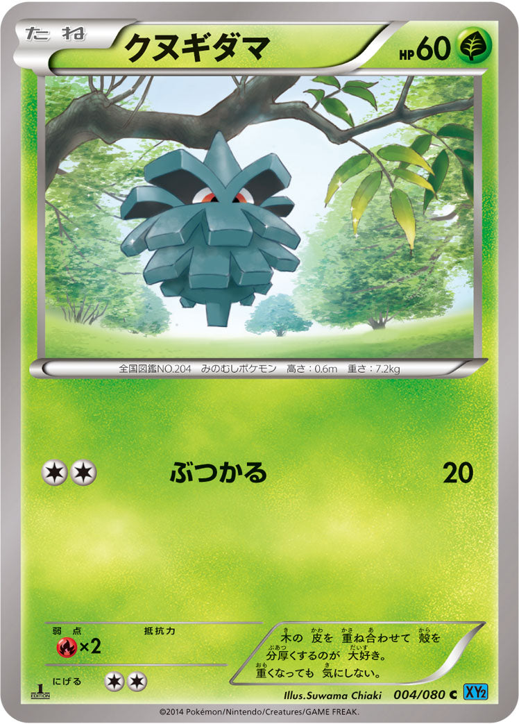 クヌギダマ [C_004/080_XY2]