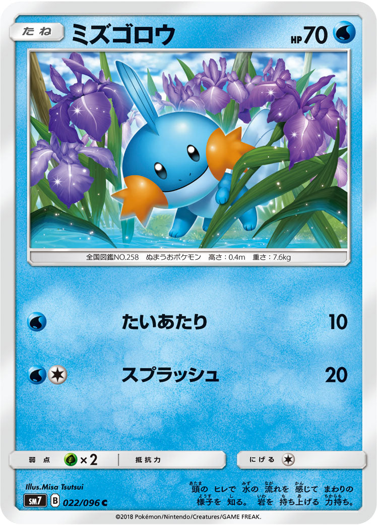 ミズゴロウ [C_022/096_SM7]