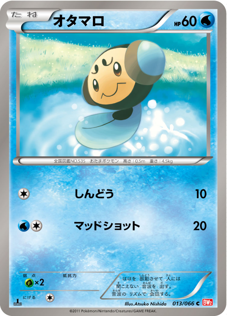 オタマロ [C_013/066_BW2-B]