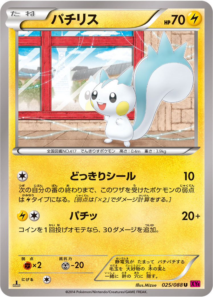 パチリス [U_025/088_XY4]