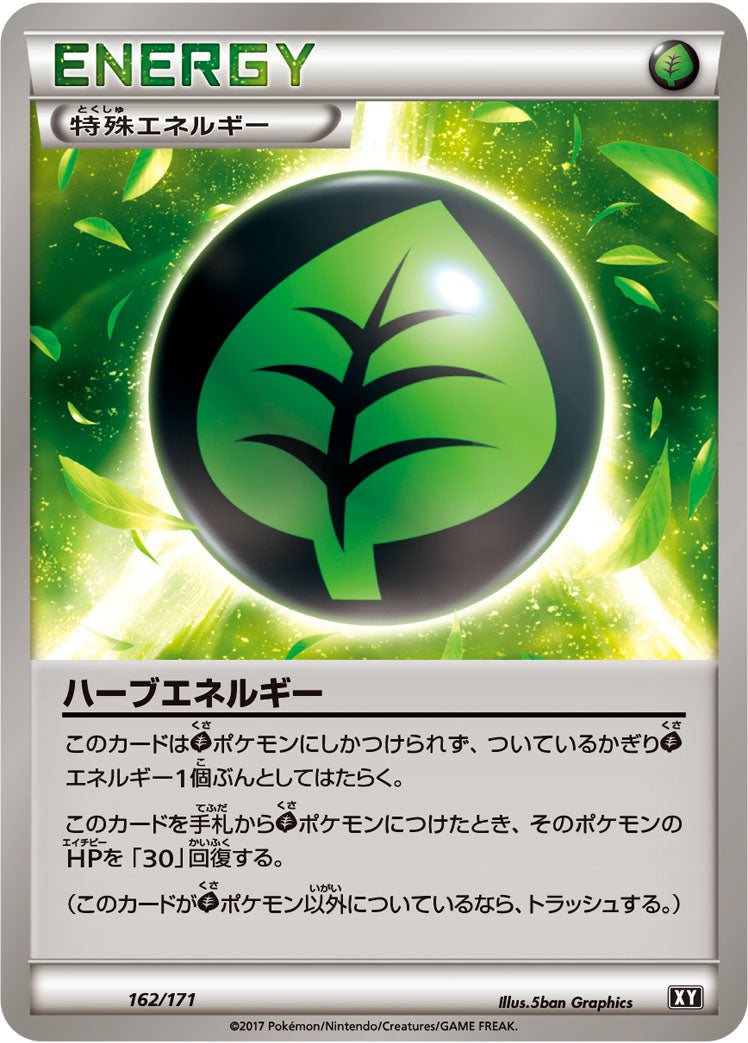 ハーブエネルギー [162/171_XY]