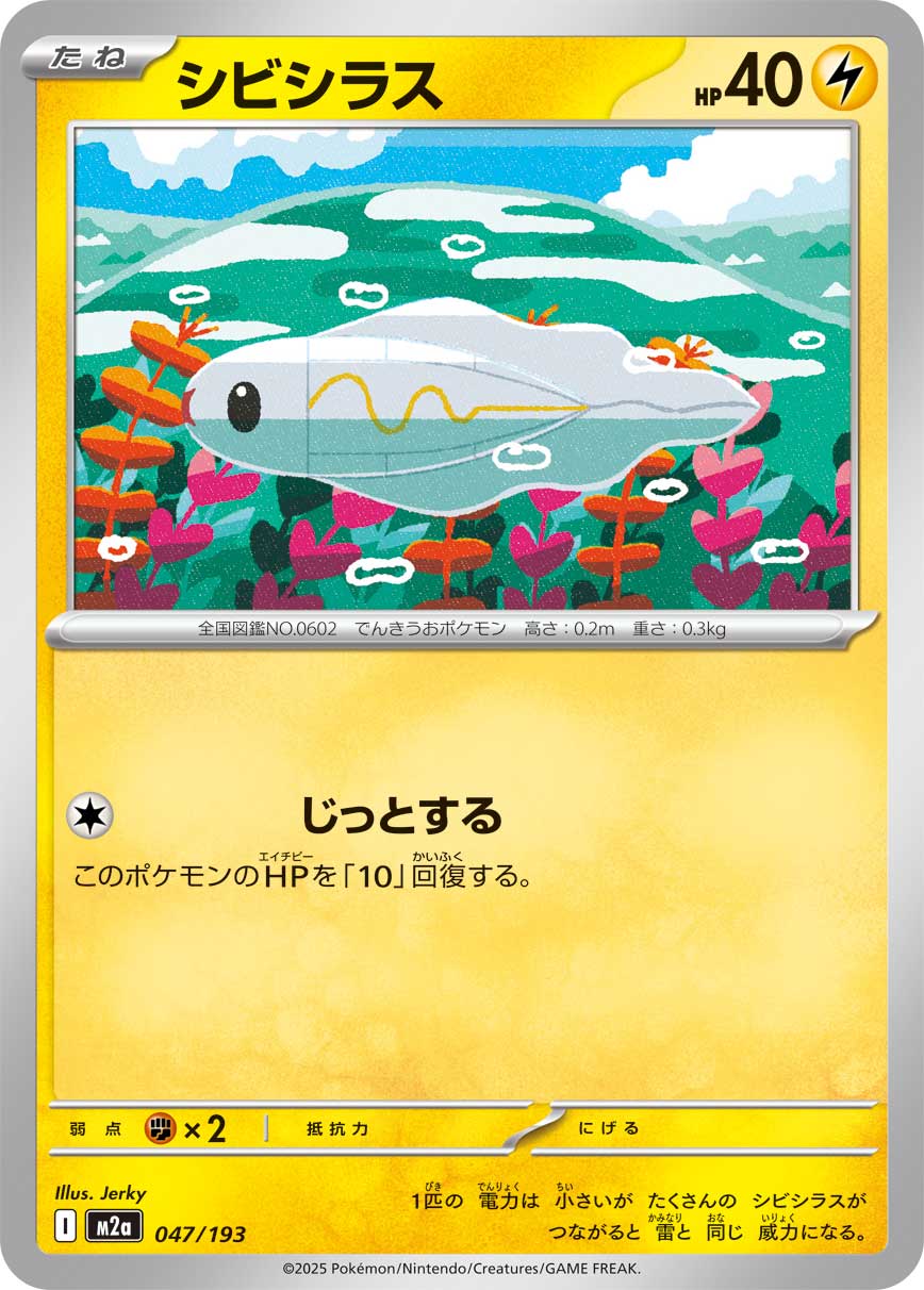 ポケモン_ランキング – everyトレカ