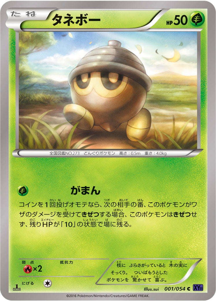 タネボー [C_001/054_XY11-Bb]