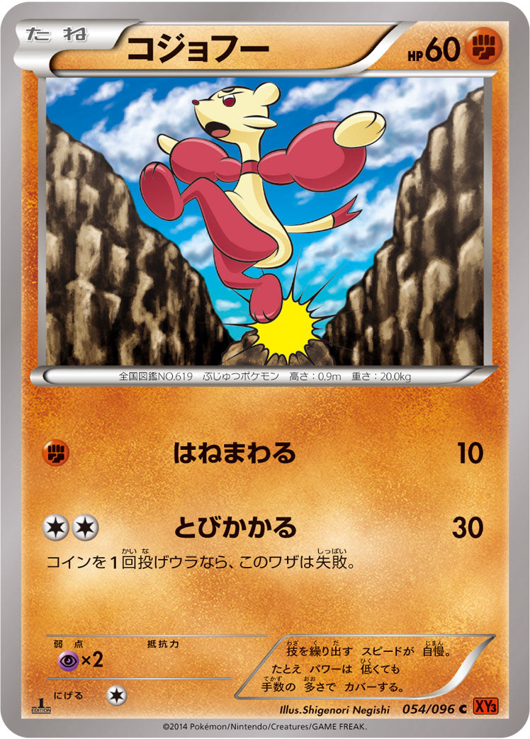 コジョフー [C_054/096_XY3]