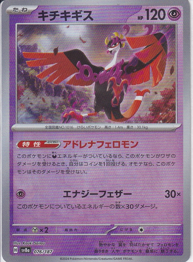 キチキギス [-_076/187_SV8a]