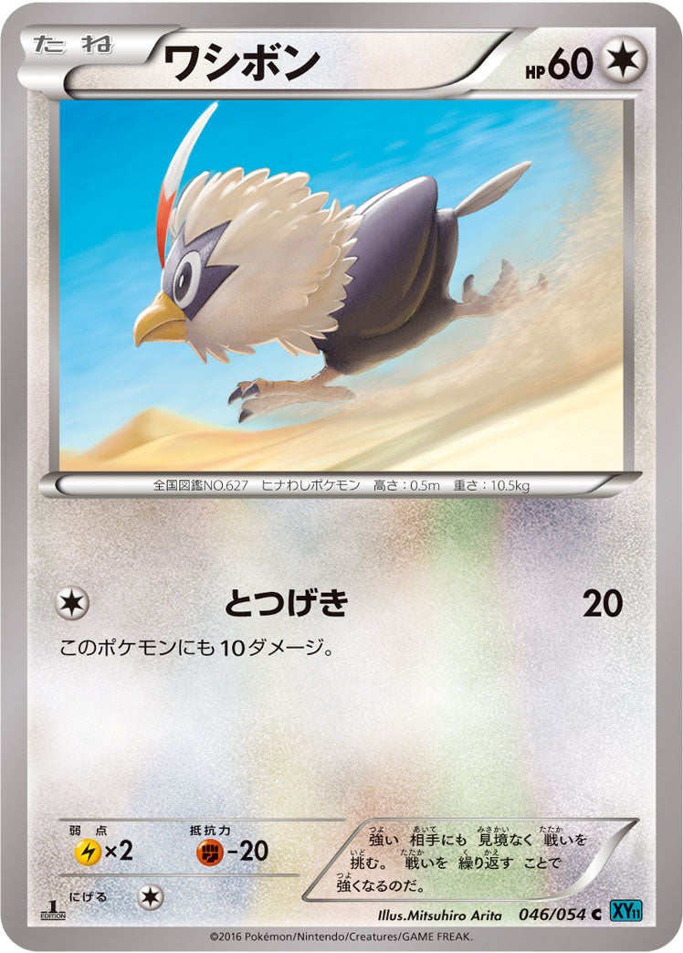 ワシボン [C_046/054_XY11-Br]