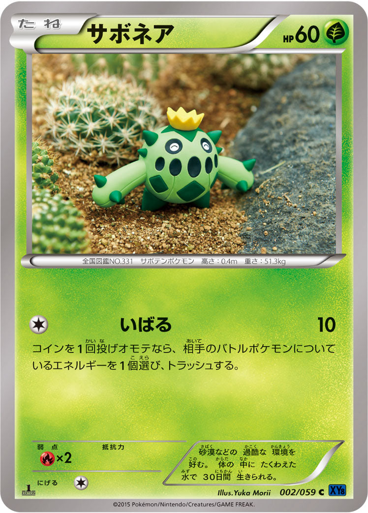 サボネア [C_002/059_XY8-Bb]